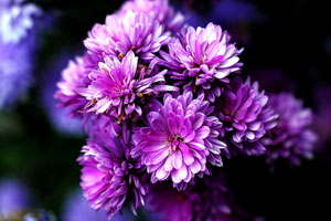 网页攻击器教程